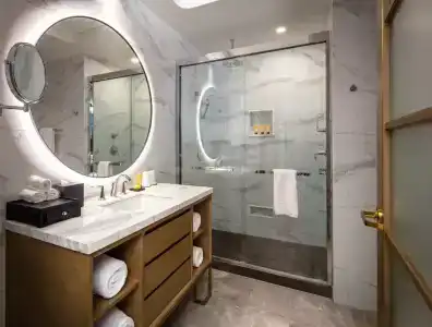 Blossom Houston, Curio Collection by Hilton - 65