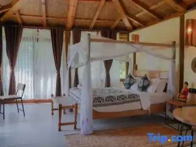 Sapana Village Lodge - 177