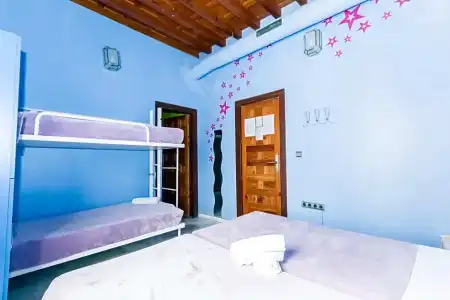 White Nest - 36