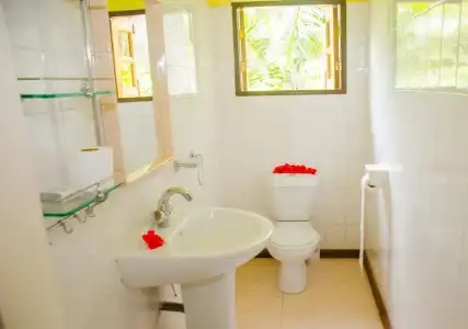 Villa Rafia - 4