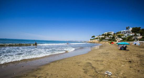 Kalma Jardín de Bellver - 31