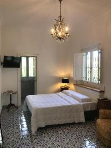 Villa de Cillis Carafa - 50