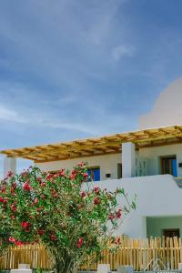 Opalia Suites - 56
