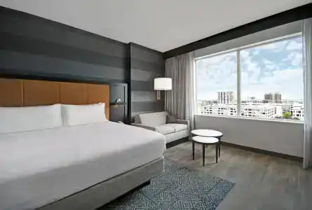 Holiday Inn Express HOUSTON - GALLERIA AREA by IHG - 56