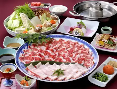 Kagoshima Sun Royal - 9
