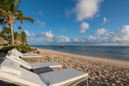Catalonia Royal Bavaro - Adults Only - 24
