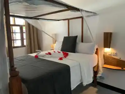 Nest Style Beach Zanzibar - 51