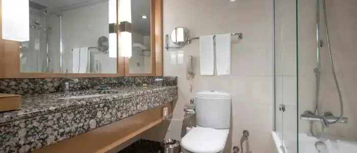 Ankara HiltonSA - 48