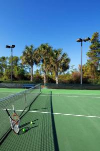 Sheraton Vistana Villages Resort Villas, I-Drive/Orlando - 17