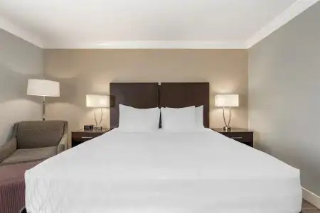 Best Western Plus LA Mid Town - 61