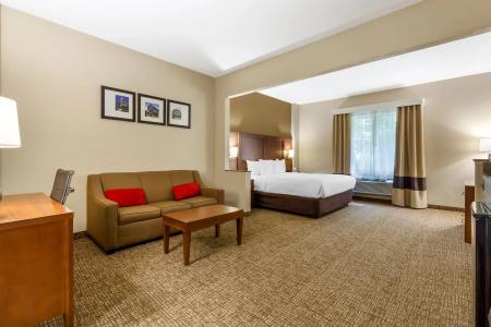 Comfort Suites Raleigh Walnut Creek - 5