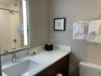 Holiday Inn & Suites Chicago - Downtown by IHG - 60