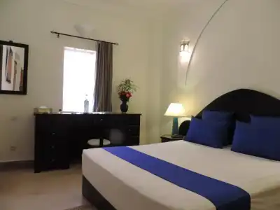 Riad Al Badia - 43