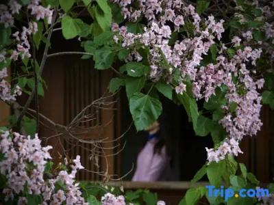 My Love Inn - 149