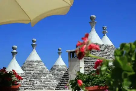 Masseria Peppeturro - 103
