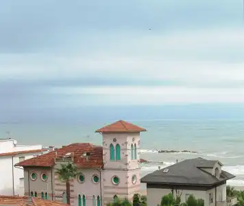 Gabbiano - 11