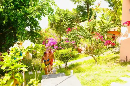 Daisy Resort - 51