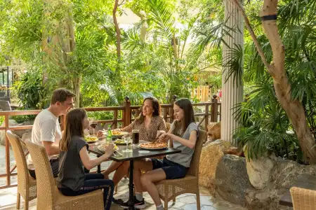 Center Parcs Bispinger Heide - 25