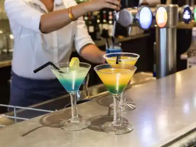 Mercure Paris Roissy Charles de Gaulle - 44