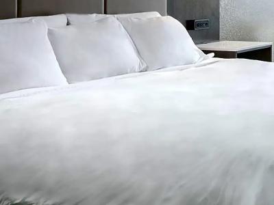 Radisson Phoenix Airport - 46