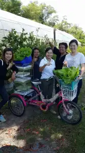 Banpu Resort Trat - 19