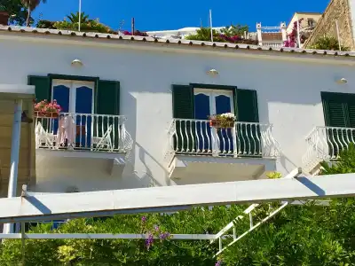 Villa delle Palme - 0