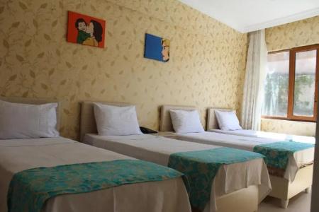 Omega Inn - 54