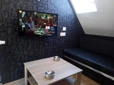 Pension zum Ringelberg - 33