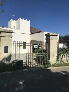 Il Casolare degli Ulivi - 0