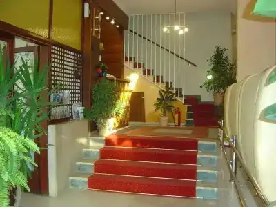 Dalia - 6