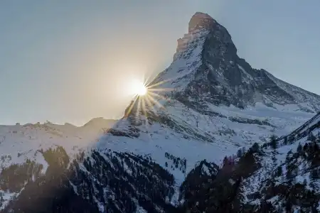 Alpenroyal - 77