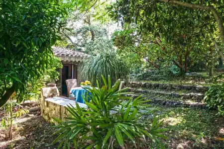 Etna Botanic Garden - 118
