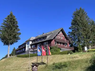 Diana Feldberg - 4
