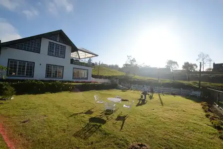 The Tea Garden - 8