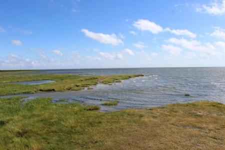 BE Bio be Active - Nähe Historischer Hafen - 15