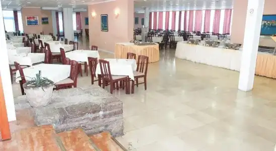 Kamelija - 19