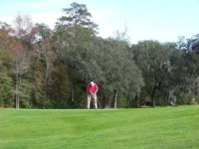 Holiday Inn Express Saint Simons Island by IHG - 20