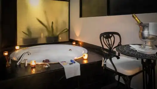 Melia Recoleta Plaza - 41
