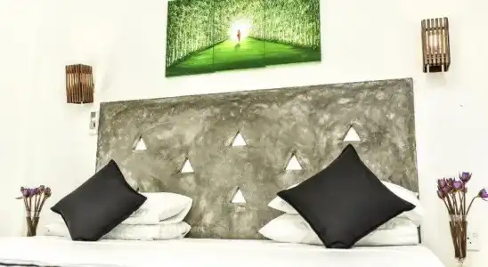 Green Habitat Ayurveda Resort and Spa - 1