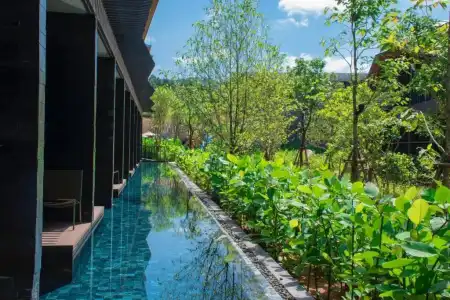 Kalima Resort & Villas Khaolak - 60