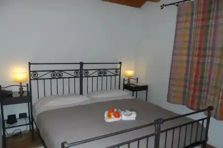 Lama di Valle Rosa - 80