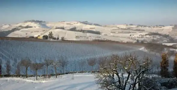 Cascina Baràc - 66