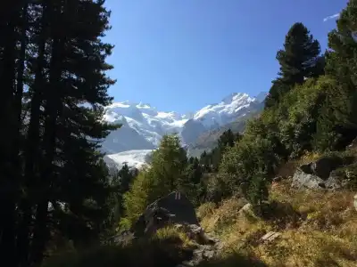 Bernina - 20