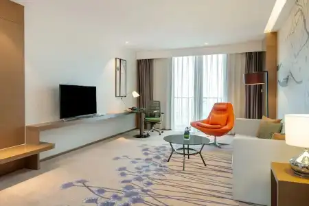 Holiday Inn Chengdu High-Tech Center by IHG - 102