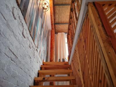 Baisha Flamingo - 79