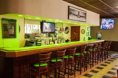 Holiday Inn & Suites Chicago - Downtown by IHG - 17