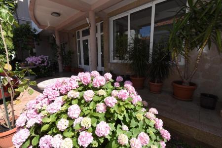 Guest House Zec - 12