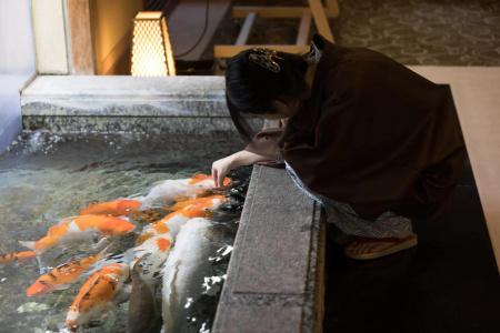 Arima Onsen Gekkoen Yugetsusanso - 20