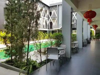 Shane Chiangmai - 12