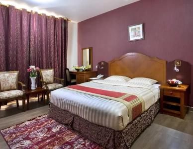 Safeer Suites - 23